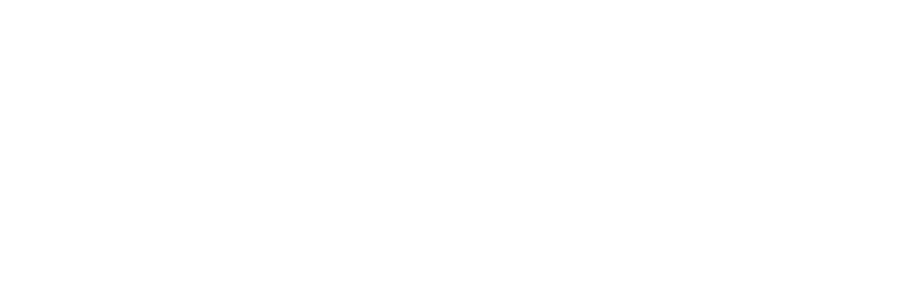 Carviondealer