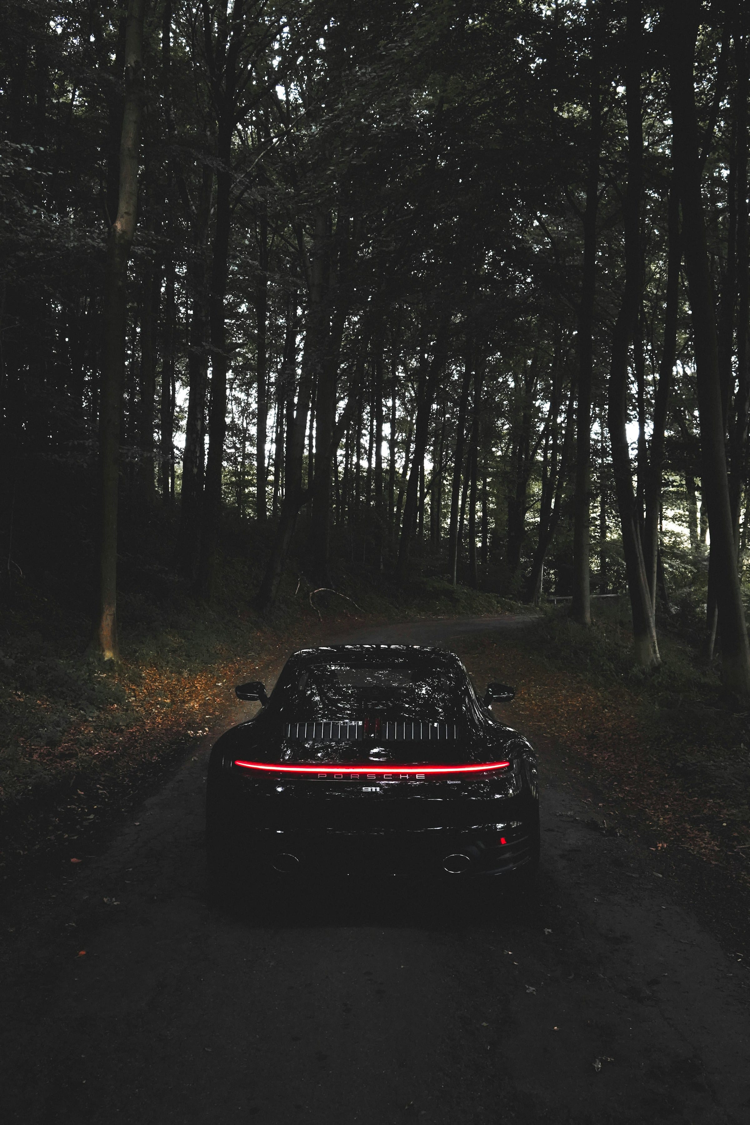 Rear quarter of a dark Porsche 911 lit at night
